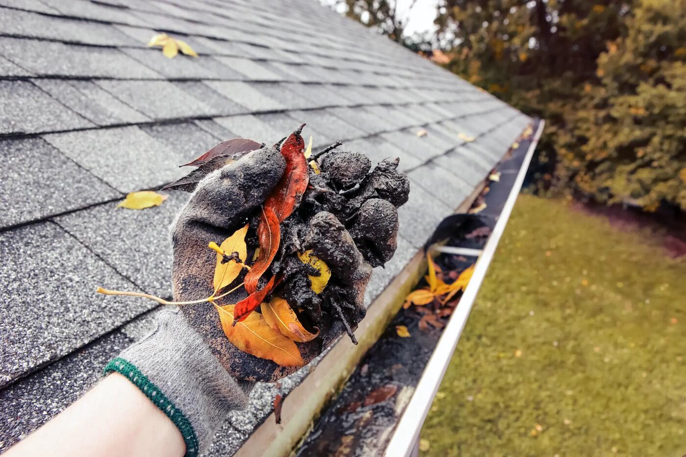 Gutter Cleaning Port Charlotte FL